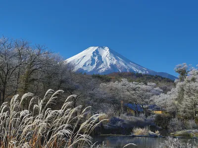 Mount Fuji is beautiful when viewed from a distance. But it is also an active volcano that, if it erupts, could displace more than a million people in Japan.