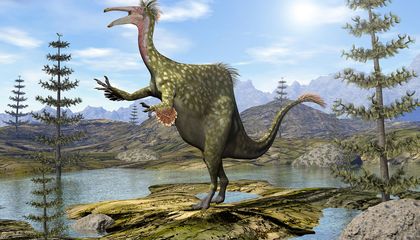 Giant Ostrich-Like Dinosaurs Once Roamed North America