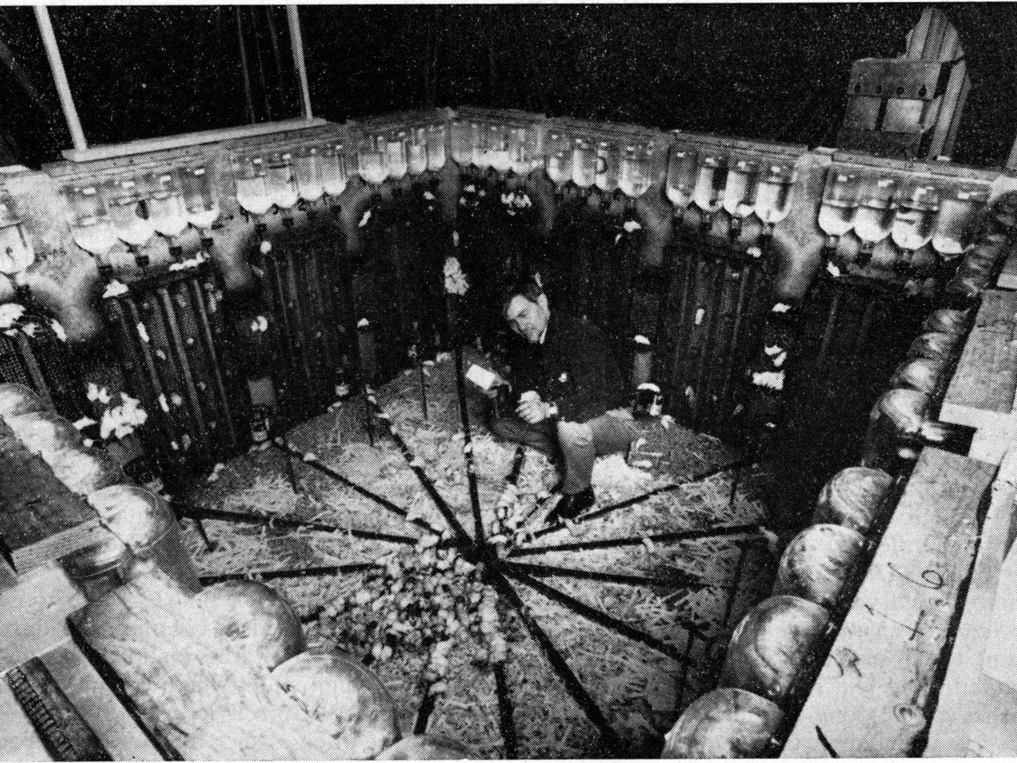 This Old Experiment With Mice Led to Bleak Predictions for Humanity’s ...