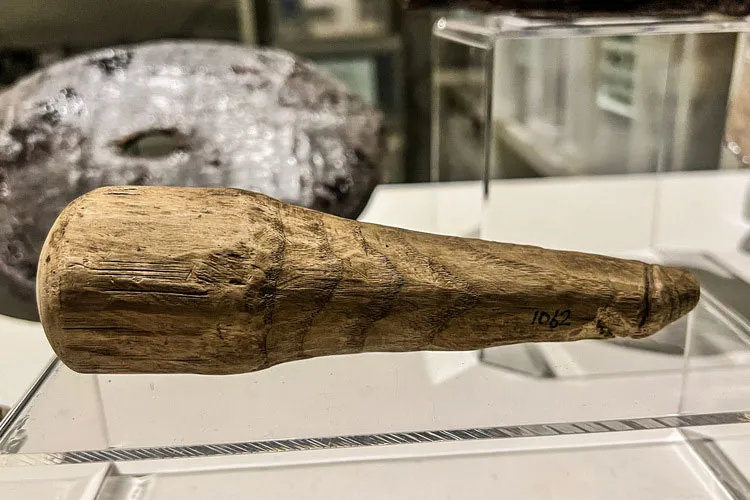 Penis-shaped object inside glass museum case