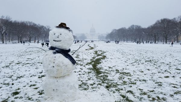 Snowman on the National Mall thumbnail