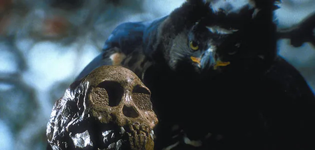 Taung skull and African crowned eagle