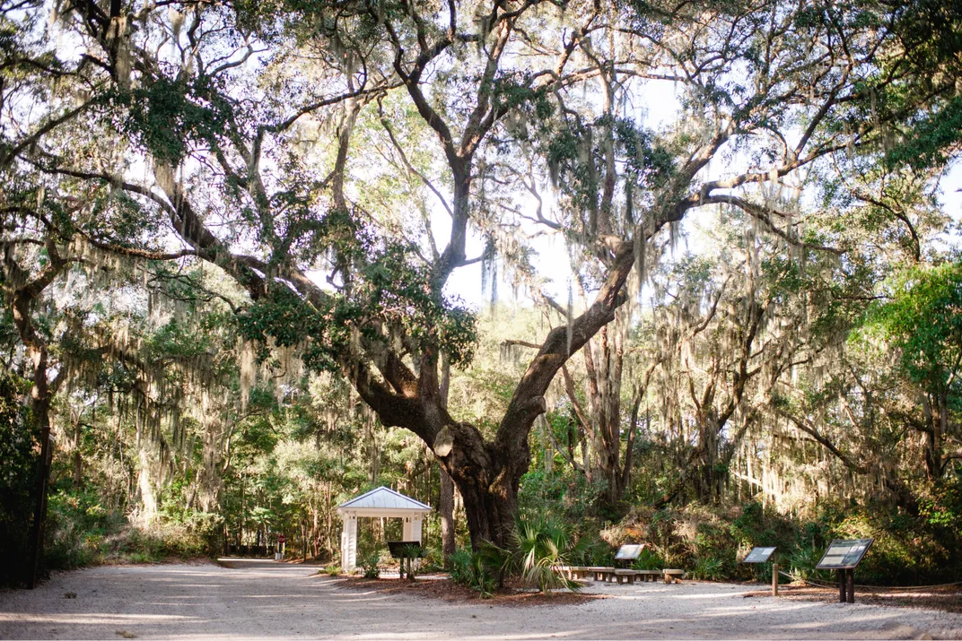 Experience Hilton Head Island’s Dazzling Arts, Culture and History