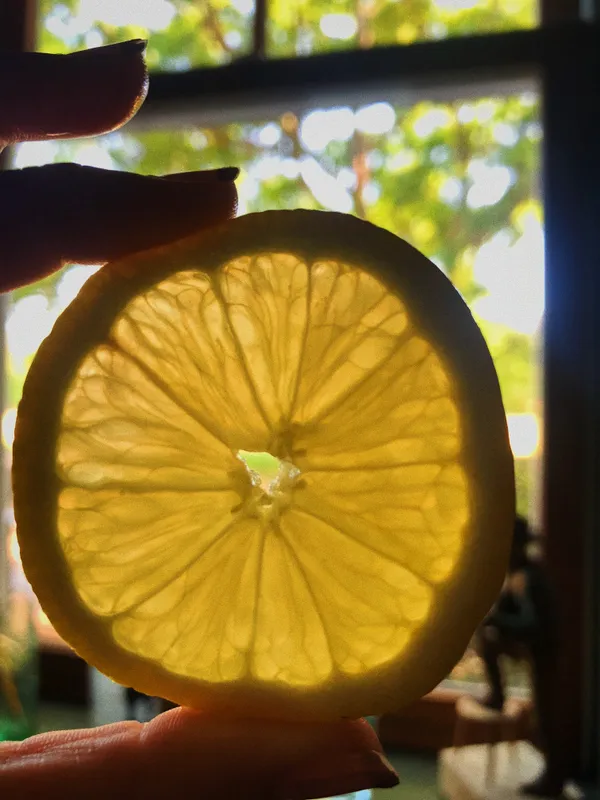 Life in a Lemon thumbnail