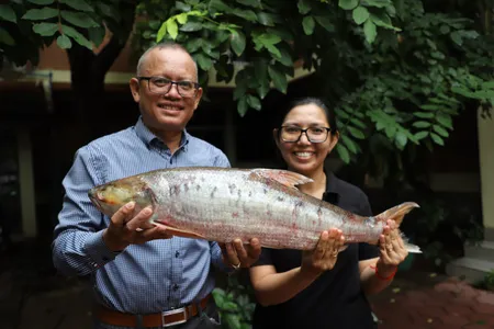 Scientists feared the giant salmon carp had gone extinct, but recent discoveries revealed the elusive species is still in the wild.