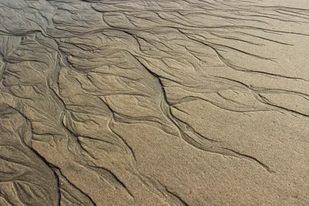 "Watermarks" earned first place in the contest. “The way water in this picture found its way back to the ocean reminded me of a peacock's tail spreading under the sun or a woman's hair blowing in the wind,” Sadri writes.