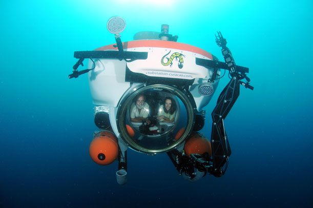 Smithsonian marine biologist Carole Baldwin