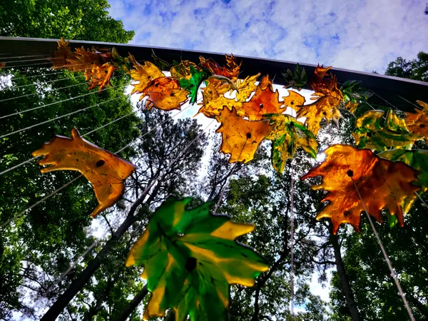 Glass Leaves thumbnail