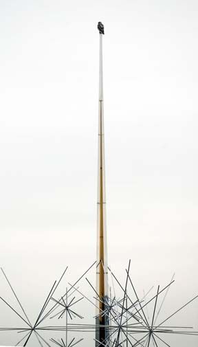 Avino's hawk-505.jpg