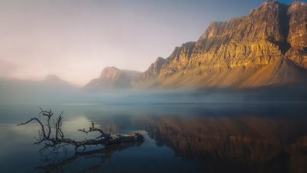 Morning Fog over Bow lake thumbnail