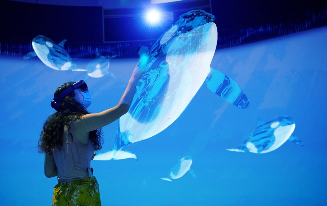 A person in an augmented-reality experience wears a headset and reaches out to "touch" a holographic orca whale while other orcas "swim" in the background.