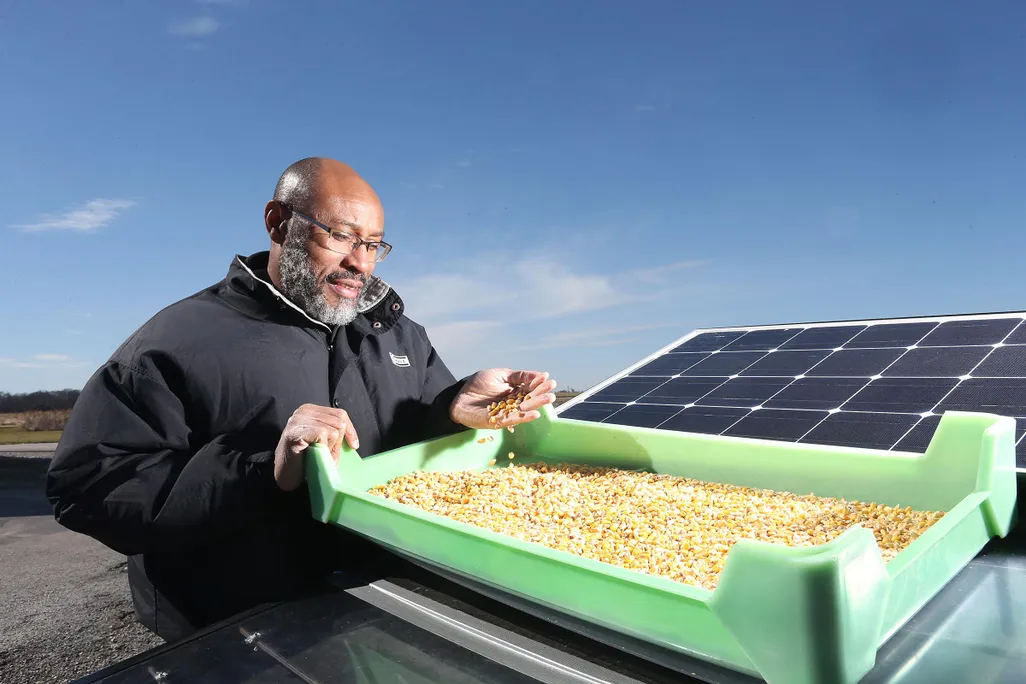 crop-drying.jpg