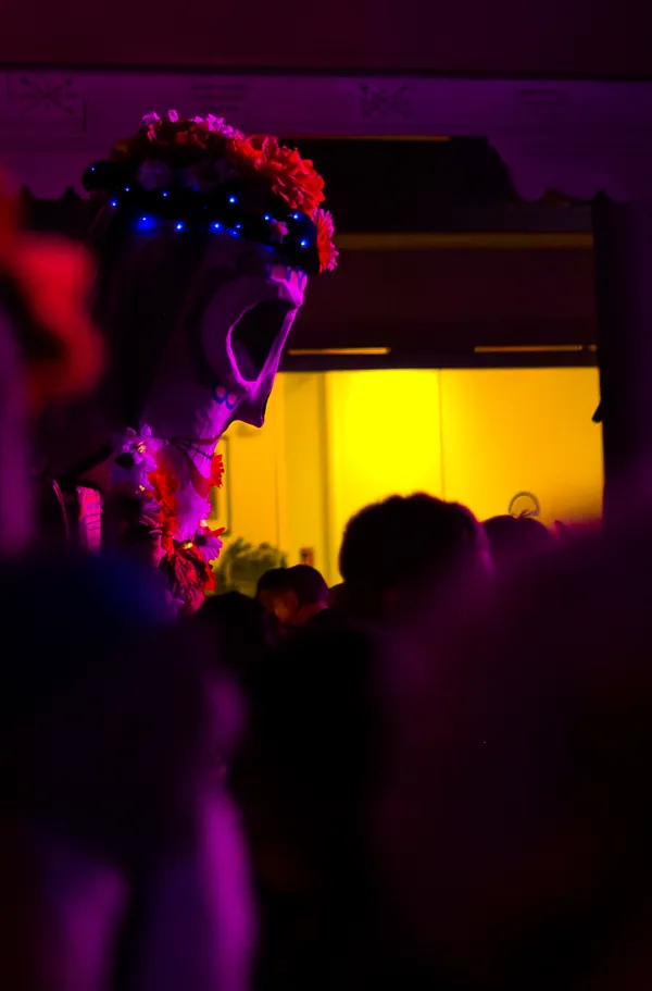 Dancer by Night thumbnail