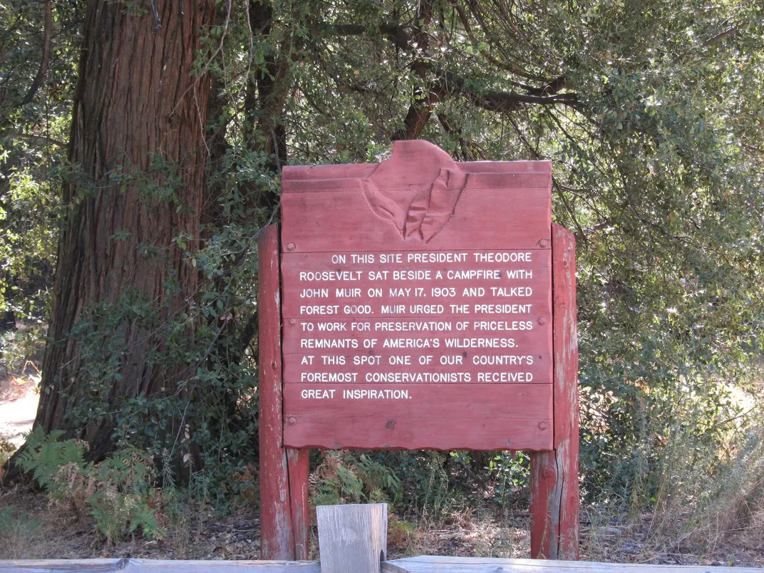 Yosemite Roosevelt Muir camping spot