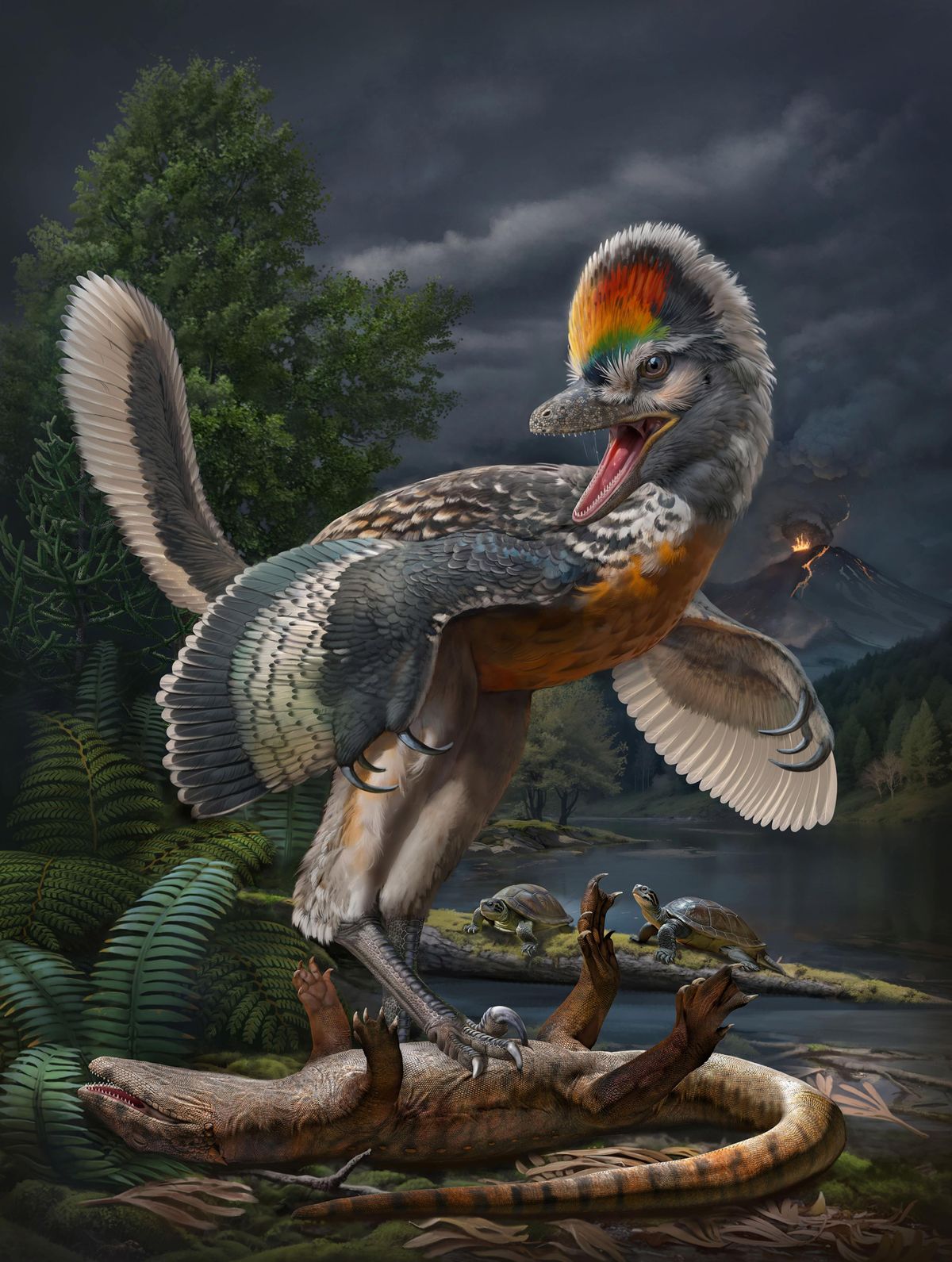 This 'Weird,' Bird-Like Dinosaur Had Really Long Legs