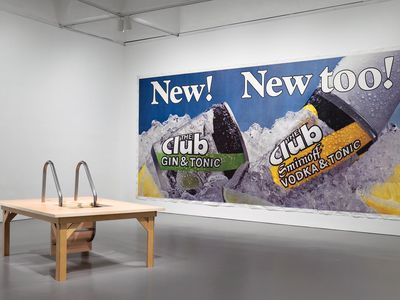 Many of the pieces in "Brand New" are simply decontextualized products and ads, like these works from Joan Wallace, (left) The Pool Ladder Painting No. 2, 2004, and Jeff Koons, New! New Too!, 1982.
