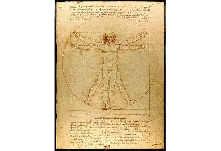 Leonardo da Vinci Vitruvian Man