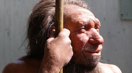 A reconstruction of a Neanderthal, which was named after Germany’s Neander Valley
