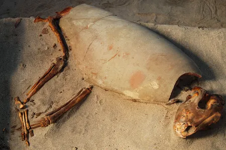 Some of the animals—including this dog—were buried in pieces of pottery.