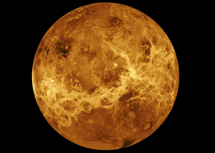 Venus_br 2.jpg
