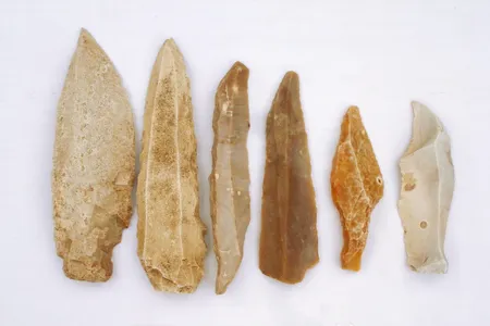 Archaic Age people—like the ones who made these blades—arrived in the Caribbean around 6,000 years ago.