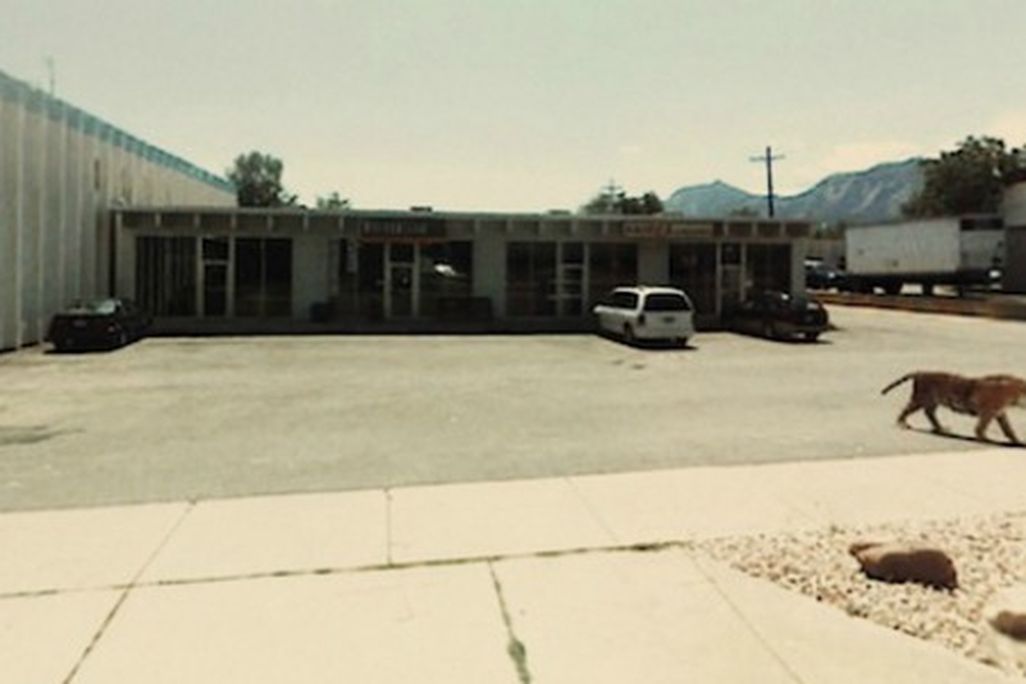 tiger-google-streetview-hero.jpg