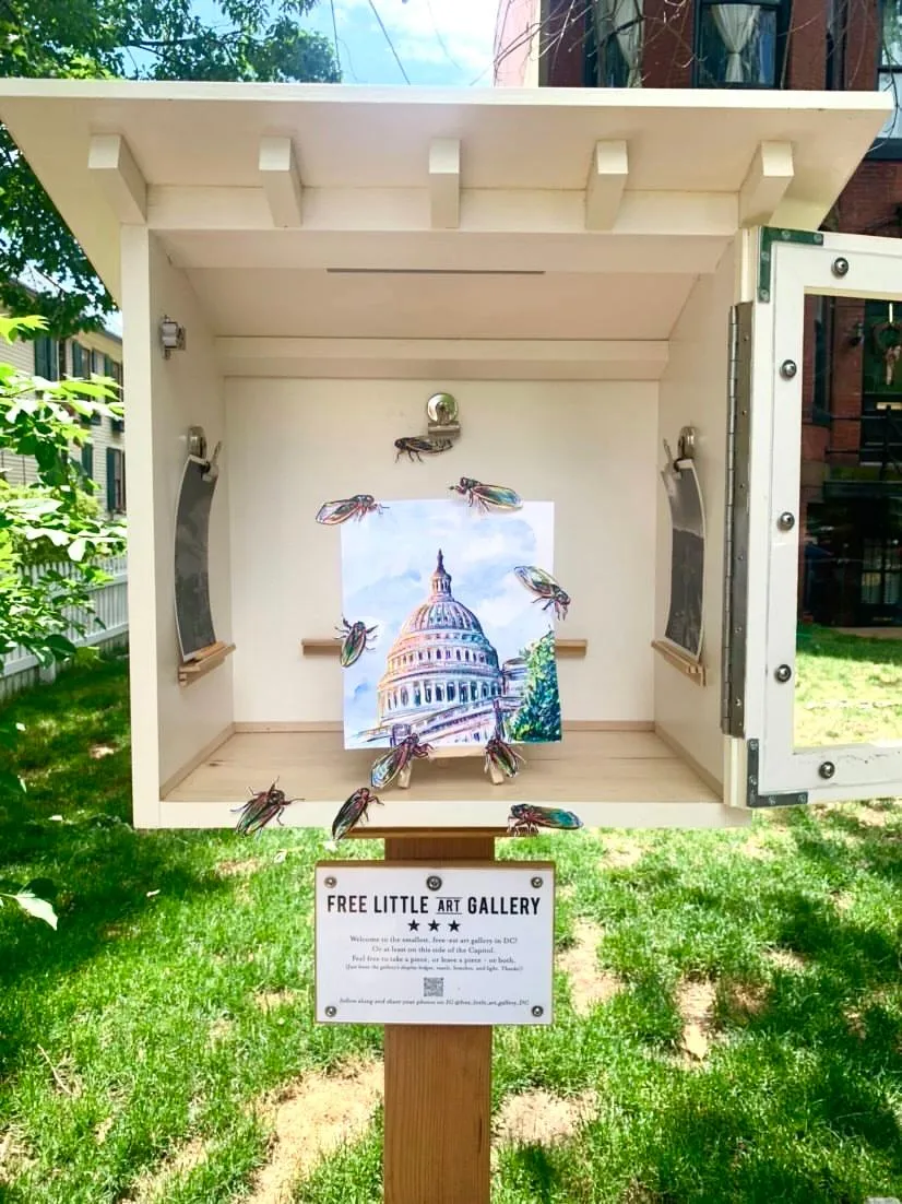A cicada-themed artwork at the Washington, DC FLAG