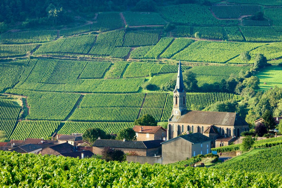 A hamlet amid the Burgundy vineyards