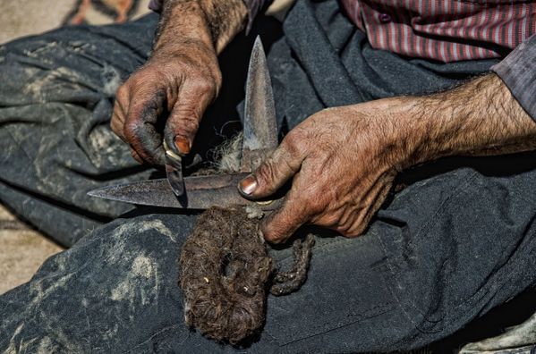 The Sharpener thumbnail