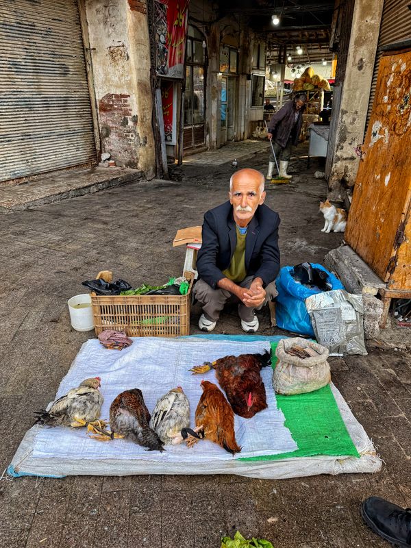 Photo Name: Elderly Poultry Vendor in Rasht Bazaar thumbnail