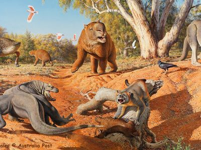An illustration of Australia's past megafauna.