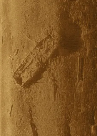 Sonar image of shipwreck