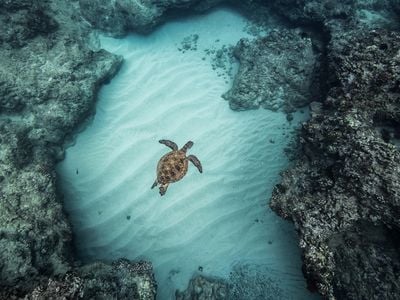 Earth Is on the Brink of Breaching a Seventh of Nine 'Planetary Boundaries' That Support Life image