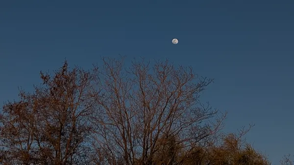 Mes sarcheshmeh thumbnail