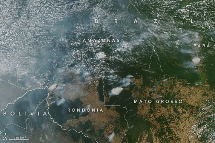 Three Things to Know About the Fires Blazing Across the Amazon Rainforest