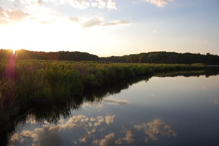 The Global Change Environmental Research Wetland spans 173 acres in Edgewater, Maryland.