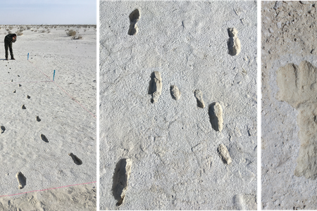 The footprints found at White Sands National Park are more than 10,000 years old.