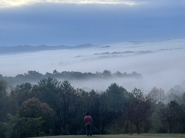 Awakening in the mist of NC mountains thumbnail