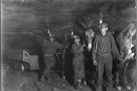 Child coal miners with mules in Gary, West Virginia in 1908. Working conditions were brutal for coal miners, and unionization was violently suppressed. 