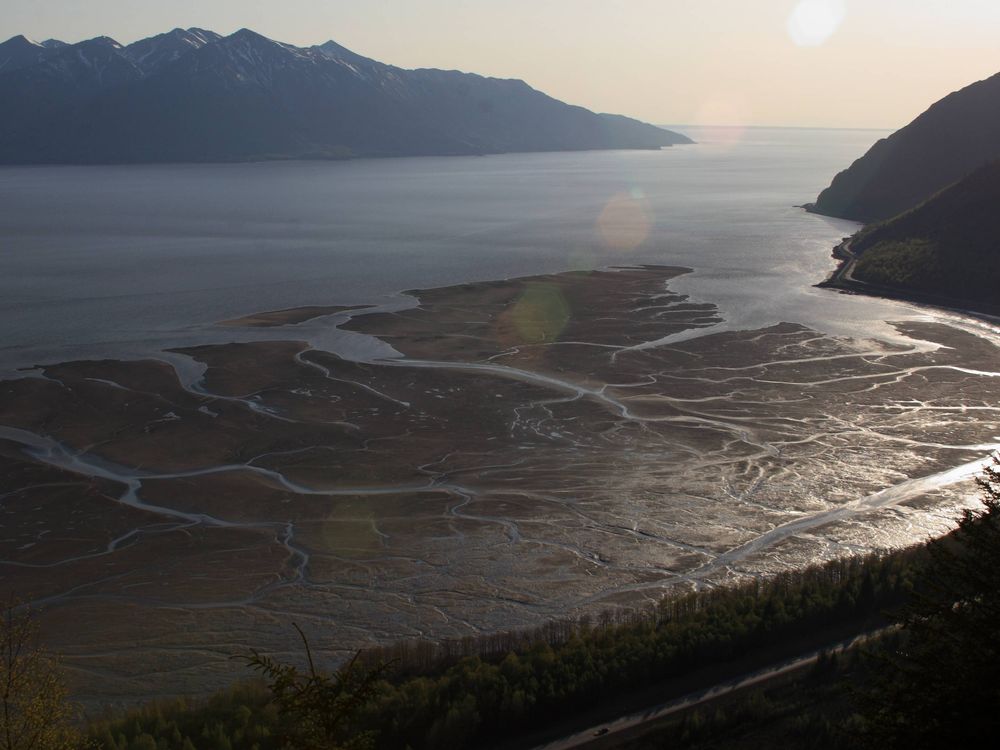 Turnagain_Arm_mudflats.jpg