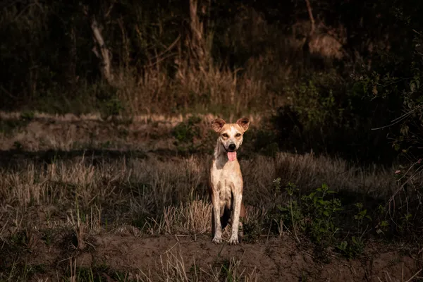 Living on the Edge of Wilderness thumbnail