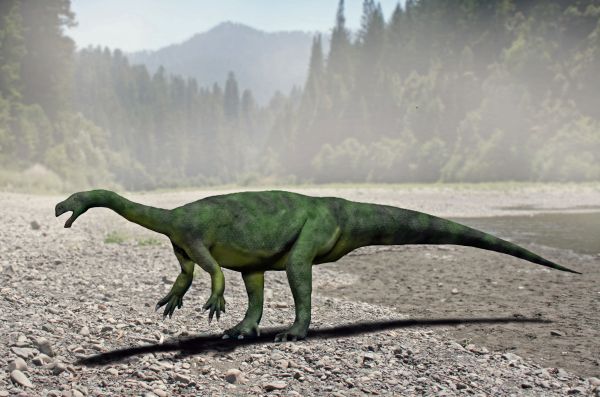 Aardonyx celestae