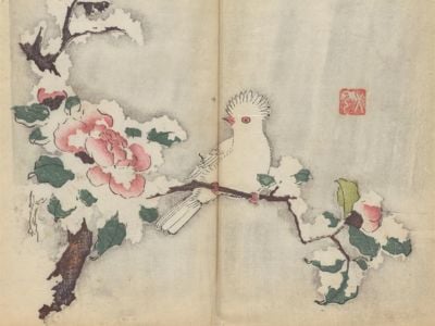 A painting of a bird from the 1633 Manual of Calligraphy and Painting. 