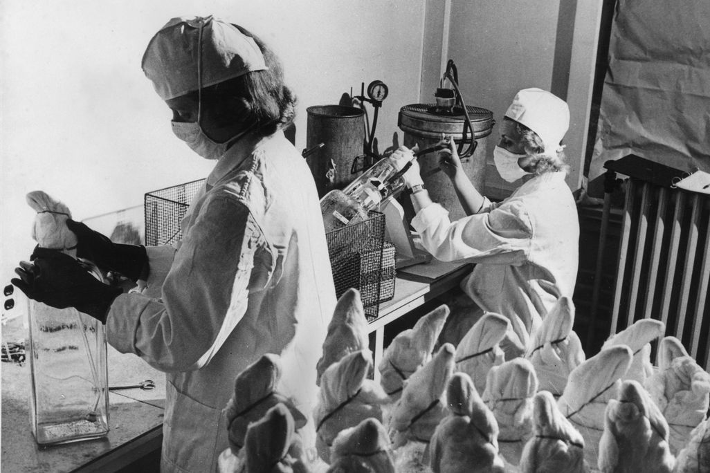 women in lab gear