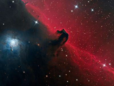 Astronomers have discovered strange chemicals in interstellar objects like the Horsehead Nebula.
