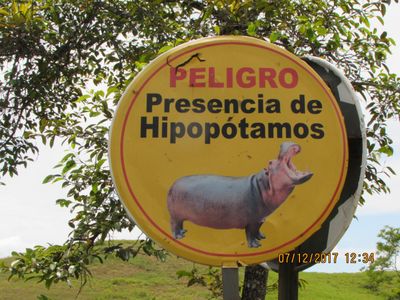 At Pablo Escobar's former hacienda, tourists are warned about the dangerous presence of an expanding hippo population.