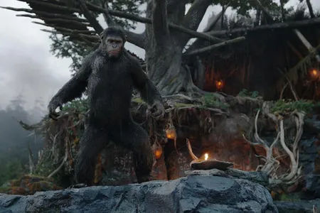 Actor Andy Serkis's motion-capture performance rendered into a photo-perfect computer-generated ape.