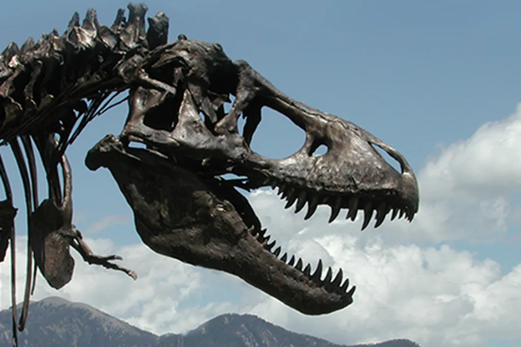 Tyrannosaurus rex