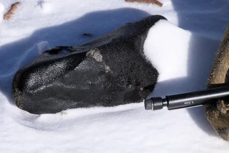 The shiny, dark crust of a meteorite emerges from the snow during an ANSMET collection trip to Antarctica.