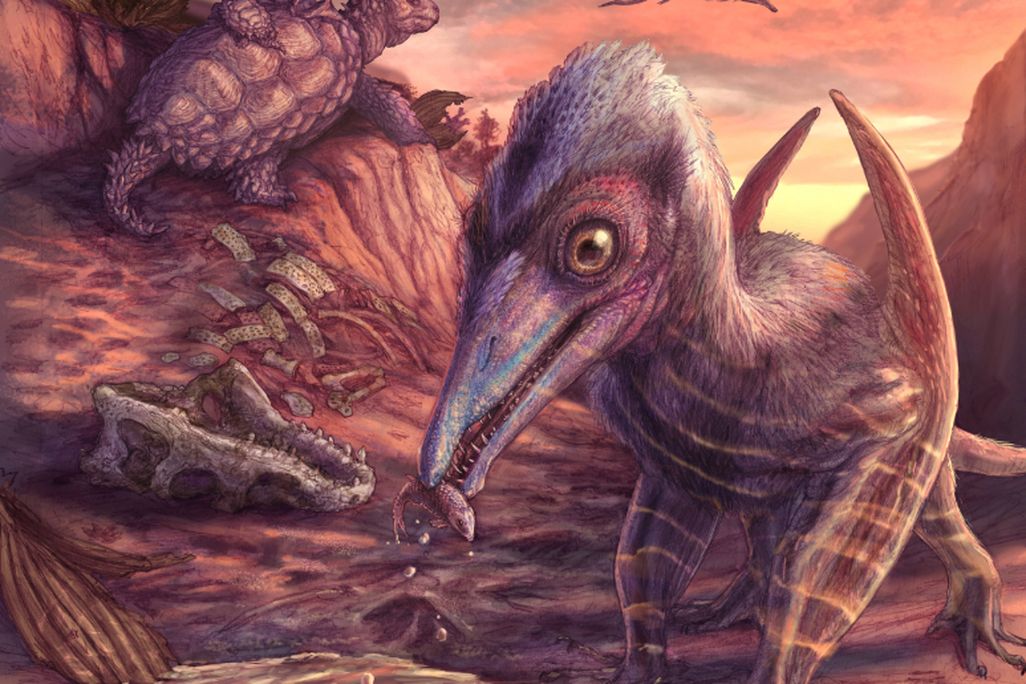 Arizona's Petrified Forest National Park, Illustration by Brian Engh